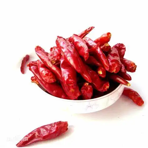 Atacado Alta qualidade Seco/Fresco/Frozen Red Chili Red Dry Chilli Pepper