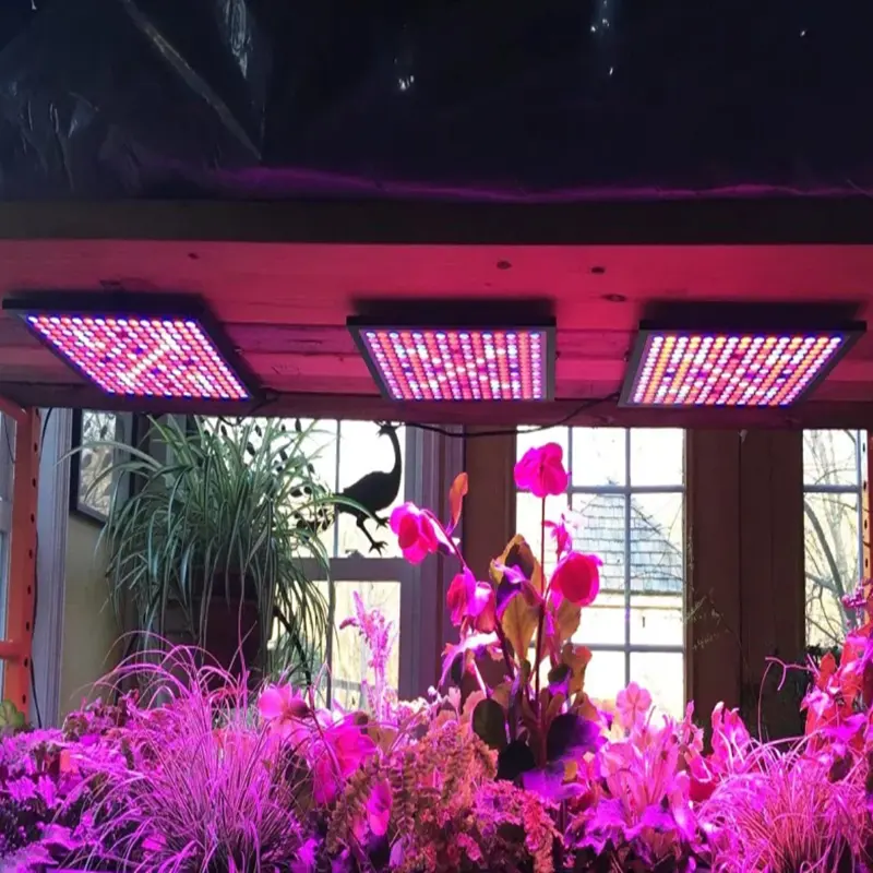 Led 성장 빛 전체 스펙트럼 45W 50W 성장 램프 AC85-265V 식물 성장 조명 꽃 묘목 재배