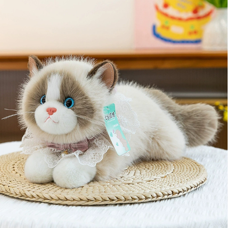 Brown ragdoll with bib