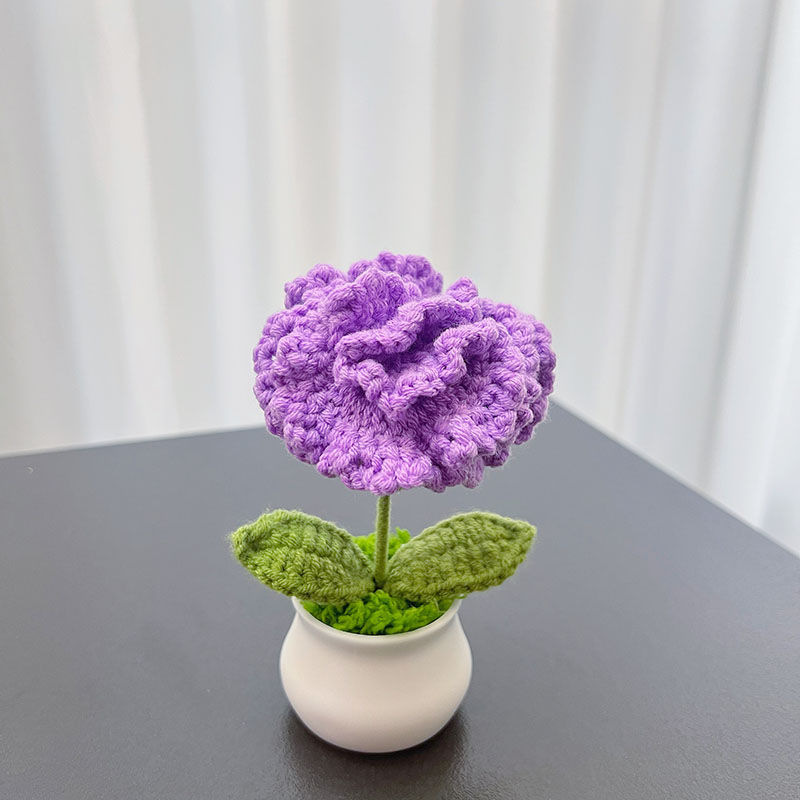 Pourpre