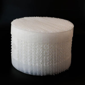 โครงสร้างแผ่นพลาสติกลูกฟูก <span class=keywords><strong>PTFE</strong></span> สำหรับการปอกทาวเวอร์