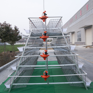 4000 Chim Gia Cầm Trang Trại Thiết Kế Pin Trứng Gà Hai Lớp Lồng Gia Cầm Lồng Bán Cho Ghana Trang Trại Tại Nhà Máy Giá - Product Image 2