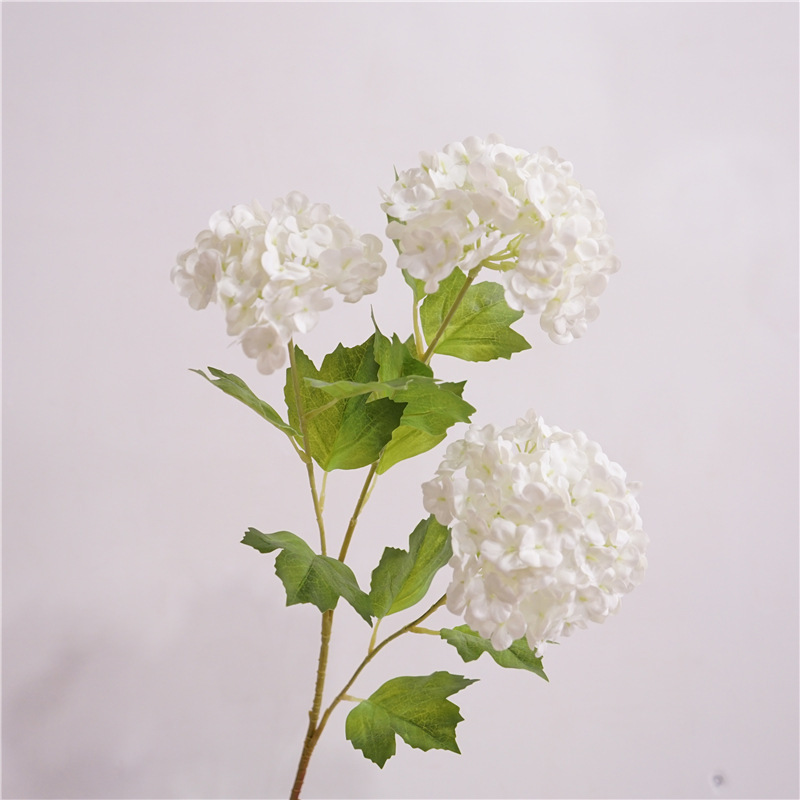 Film boule de neige blanc