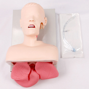 Advanced <strong>Human</strong> Tracheal Intubation Training Model for Medical Education Training - Product Image 2