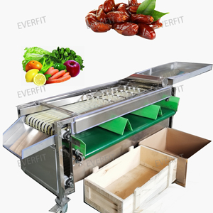 Size <strong>Sorting</strong> Machine Rail Type <strong>Sorting</strong> Machine 1000kg/h - Product Image 1