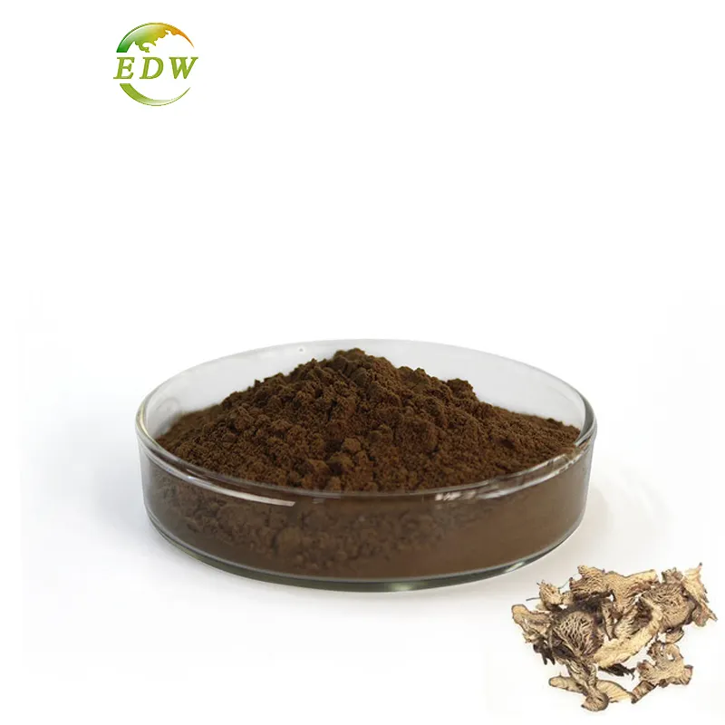 Kostenlose Probe Black Cohosh Extract/2,5% Triterpenoid Saponin Triterpen Glycoside Pulver