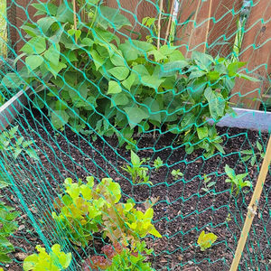 Retine verdi HDPE 5g di plastica elastica per agricoltura da giardino - Product Image 3