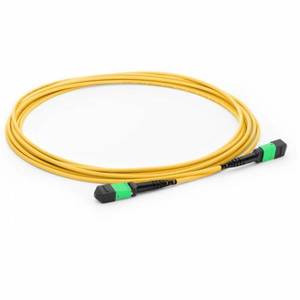 5m (15ft) MTP-MTPケーブルOS2 SM 24ファイバーシングルモードエリートMPOトランクケーブル24ファイバータイププレナムOFNP - Product Image 1