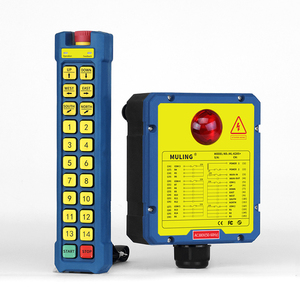 ML-K20S + fabbrica ricevitore intelligente personalizzato Wireless 868MHz telecomando industriale telecomando telecomando in silicone - Product Image 1