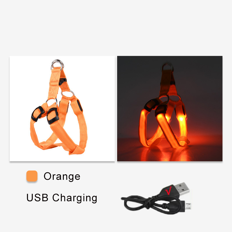 Chargement USB orange