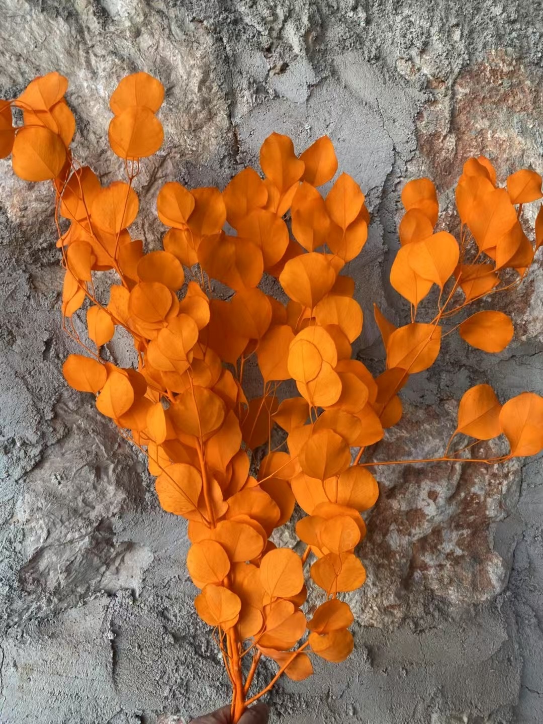 Naranja