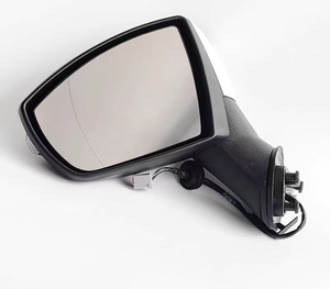 用于福特EcoSport侧镜反光镜左右加热带、涂漆镜壳、转向信号灯镜框 - Product Image 1