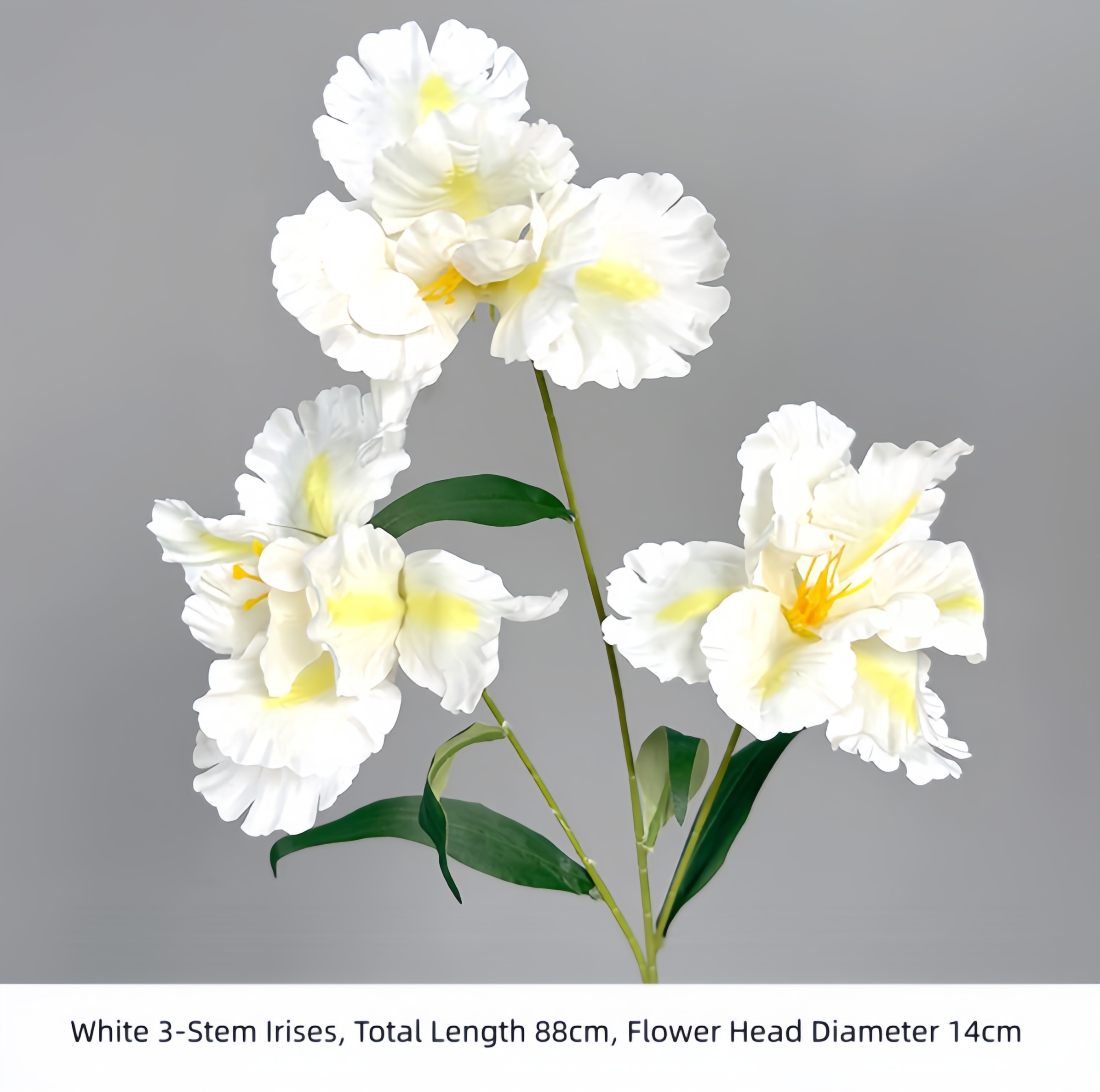 White 3-Stem Irises