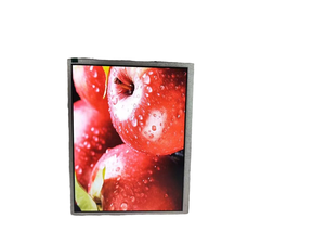 Módulo de pantalla Lcd IPS Tft de interfaz LVDS de 9,7 pulgadas 1024*768 con placa de controlador - Product Image 2