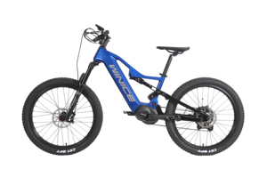 DengFu 2024 MODELL E54 ANANDA MOTOR M230 250W 24er E-BIKE für Kinder und kürzere Fahrer Voll federung
