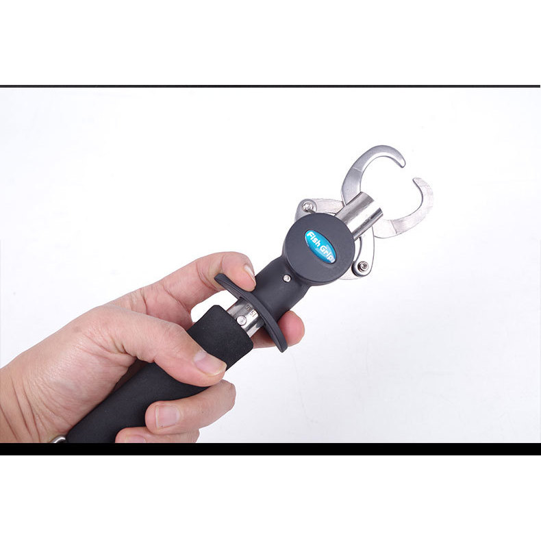 05 Fish controller with scale and ruler, 24.5 cm