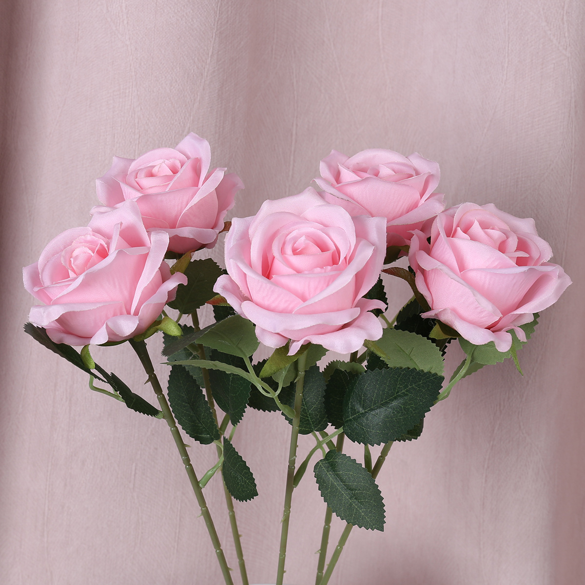 Rosa