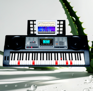 Teclado de iluminación personalizado de 61 teclas con función táctil, instrumentos de Venta caliente de la YD-816 - Product Image 3