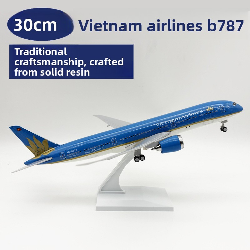 30 cm Vietnam Airlines B787