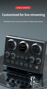 Dj <strong>Audio</strong> Mixer Live Sound Card Sound Card <strong>Audio</strong> <strong>Interface</strong> Two 48v <strong>Interfaces</strong> - Product Image 4