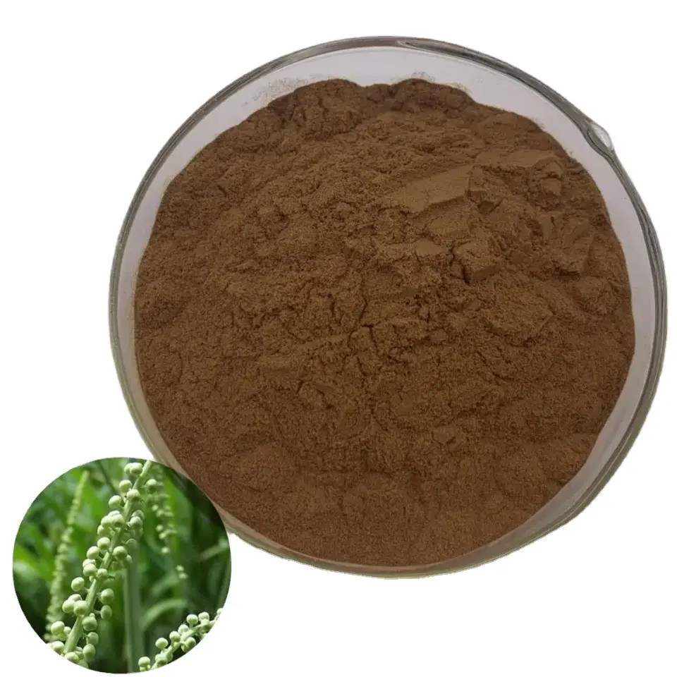 100% Natuurlijke Topkwaliteit Biologische Zwarte Cohosh Extract/Best Verkopende Plant Extract Black Cohosh Extract