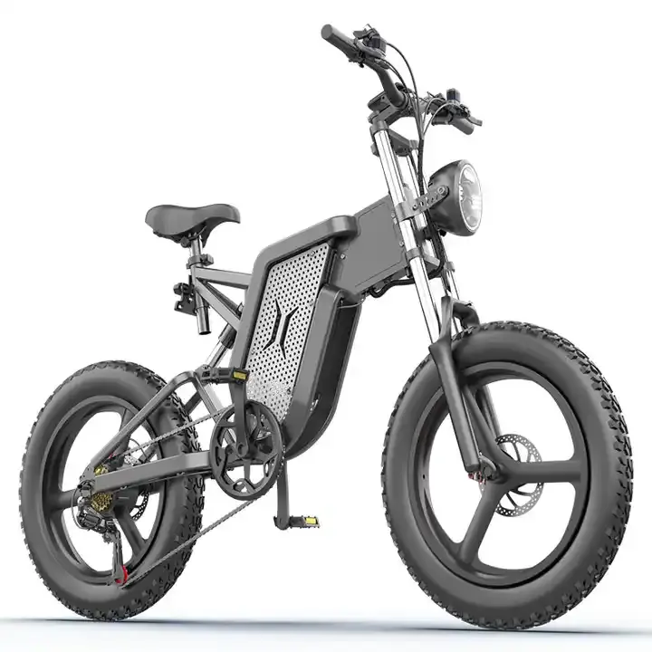 Тяжелая шина 20 дюймов 48 В 10ah 15ah 20ah 25ah 30ah литиевая батарея из алюминиевого сплава электровелосипед 500 Вт 1000 Вт 2000 Вт Электрический велосипед для взрослых Ekx X20