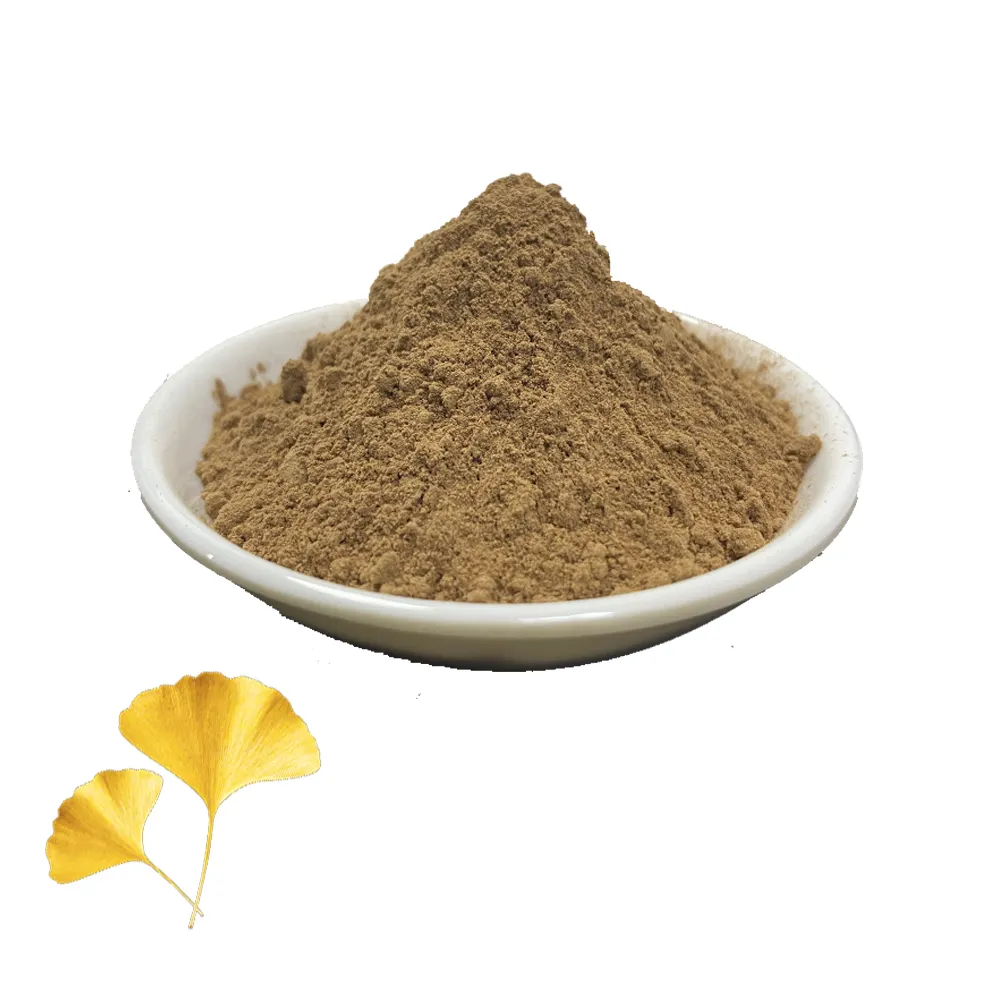 Số Lượng Lớn Giá Thấp Thảo Mộc Nguyên Chất Chất Lượng Cao Lá Ginkgo Biloba Chiết Xuất