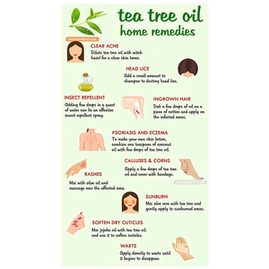 Wholesale 100% Pure Natural Premium Quality Organic Essential Tea Tree <strong>Oil</strong> Buy Essential <strong>Oils</strong> and Get 100ml of Hydrosol for Free - Product Image 6