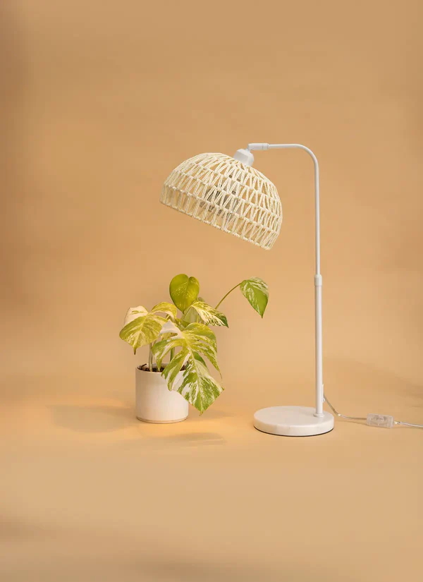 Lampe de bureau C