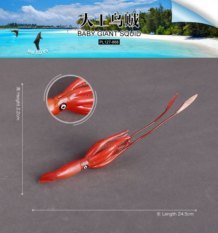 868 Calamar gigante bebé