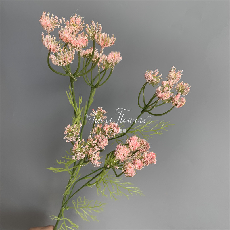Fleurs en dentelle