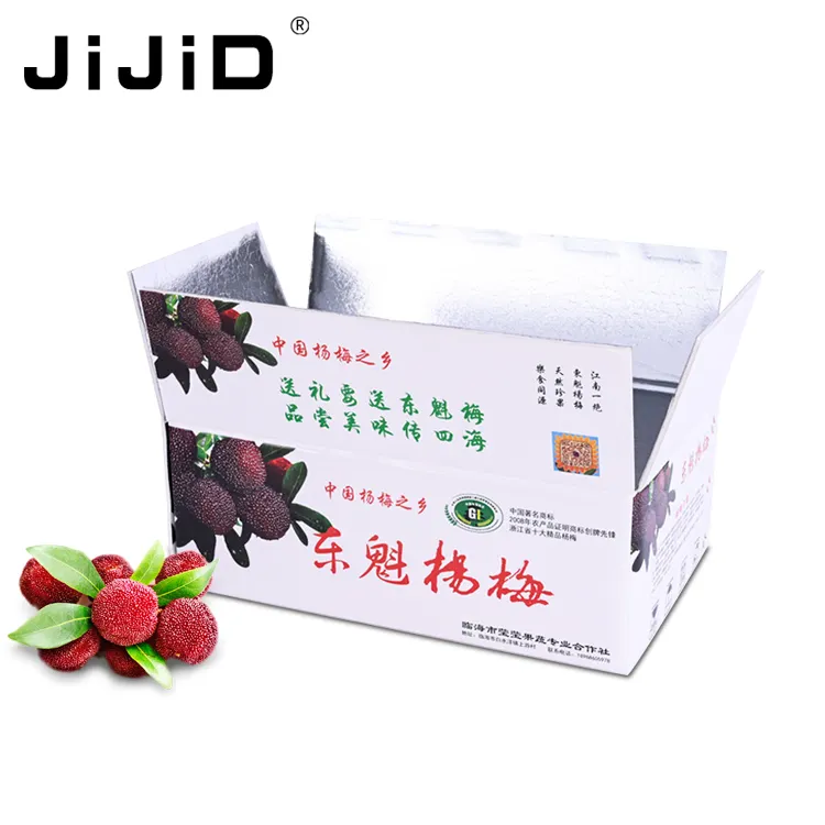 JIJID Cool Stuff Box Liners fish shrimp keep frozen Insulated Shipper Cold Fold Airline Shipping box