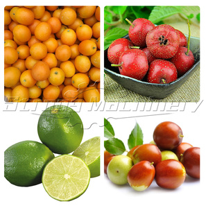 Custom Fresh Medjool <strong>Dates</strong> <strong>Sorting</strong> <strong>Machine</strong> for Vegetable and Fruit Sorter - Product Image 2