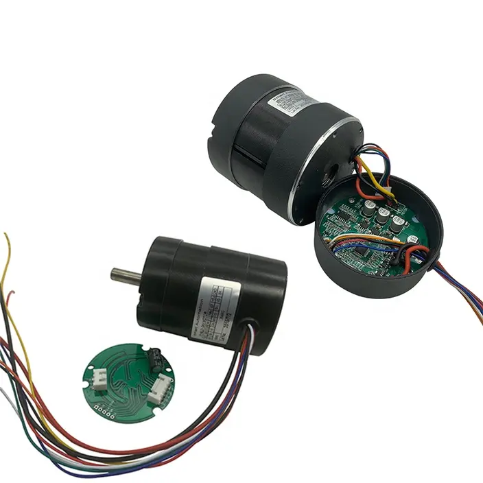 Boyutu 28mm-130mm kaliteli 12v 24v 36v 48v elektrik fırçasız Dc Motor özelleştirilebilir BL DC Motor 50w 100w 200w 300w 500w