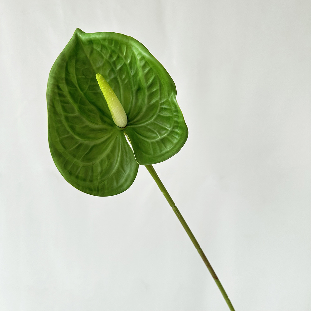 Meichun anturio pequeño verde oscuro