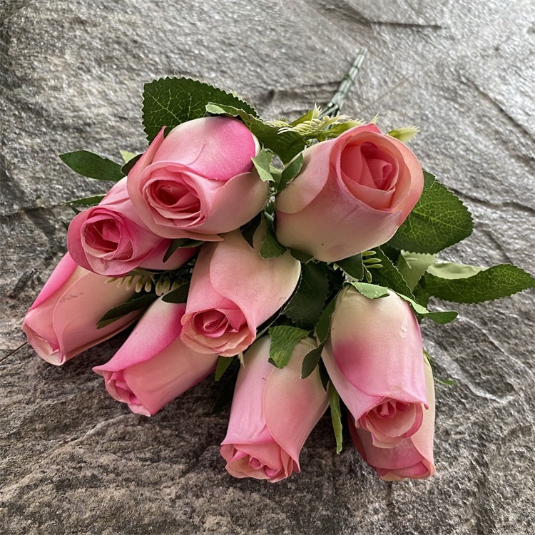 Rosa scuro