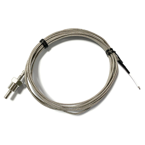 高温測定用のPT100/PT1000アナログインターフェースを備えた1/8スレッドNPT温度センサー - Product Image 1