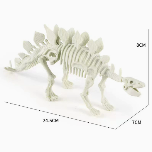 TXMR-637 Large-sized skeleton (Stegosaurus)