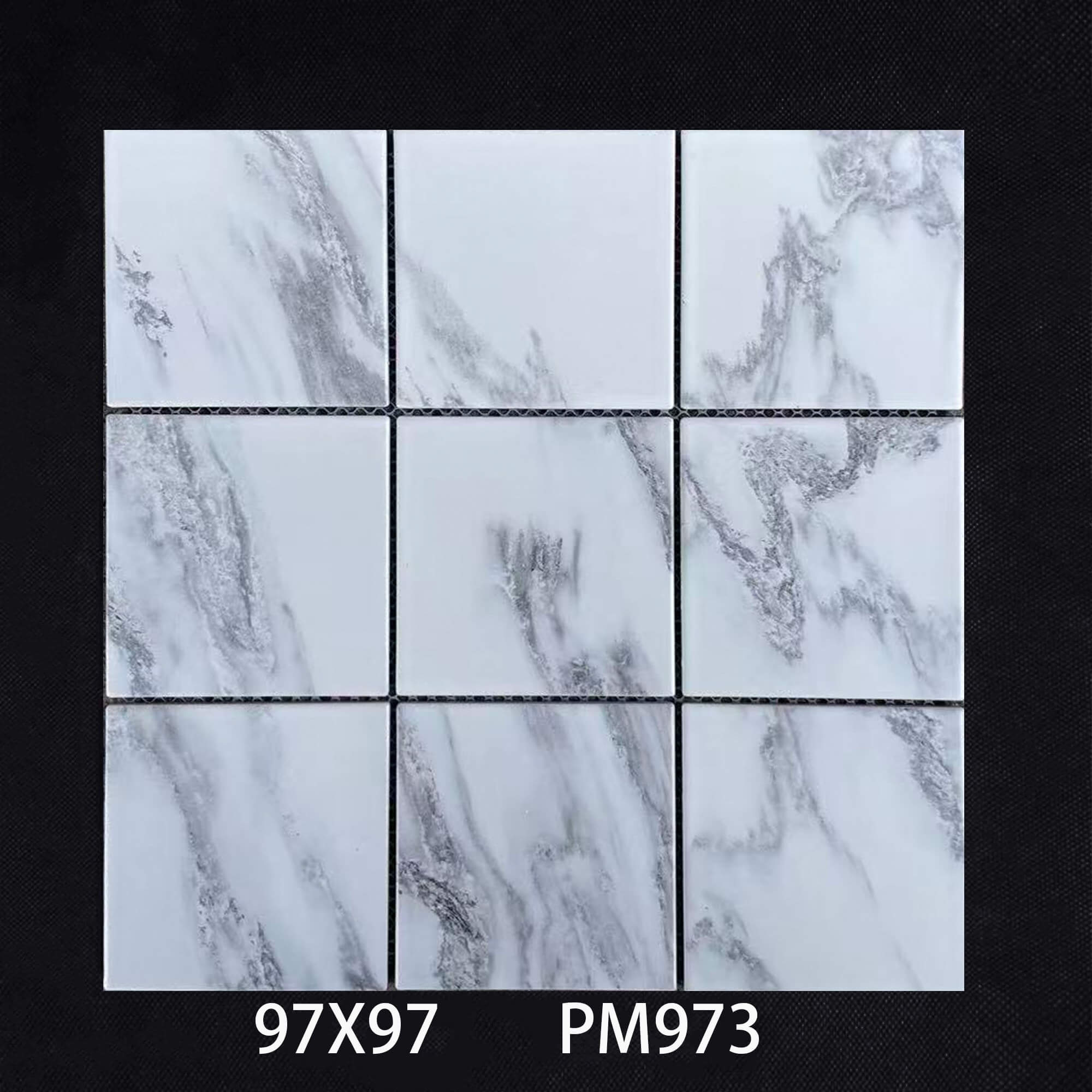 PM973