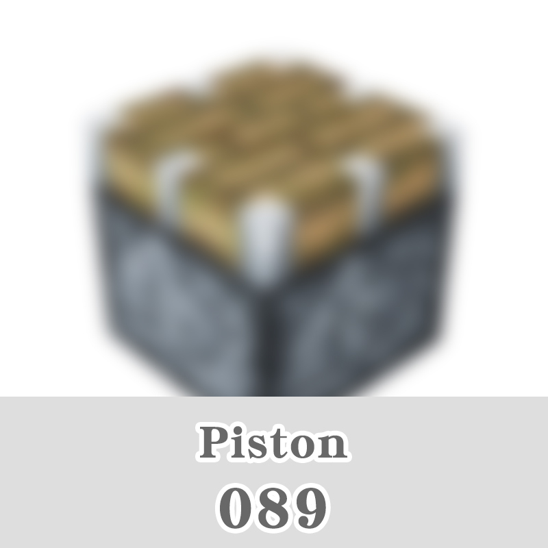 089-pistón