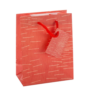 定制设计小尺寸豪华不同高级彩纸礼品袋，带手柄和购物卡 - Product Image 5