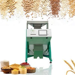 <strong>Color</strong> Sorter for Robusta Coffee <strong>Bean</strong> <strong>Sorting</strong> <strong>Machine</strong> <strong>Cocoa</strong> <strong>Bean</strong> Processing <strong>Machine</strong> - Product Image 1