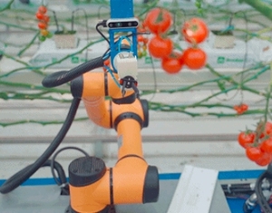 Tarım toplama için uygun bir işbirlikçi robot, insanların domates, elma, çilek, kavun vb. - Product Image 3