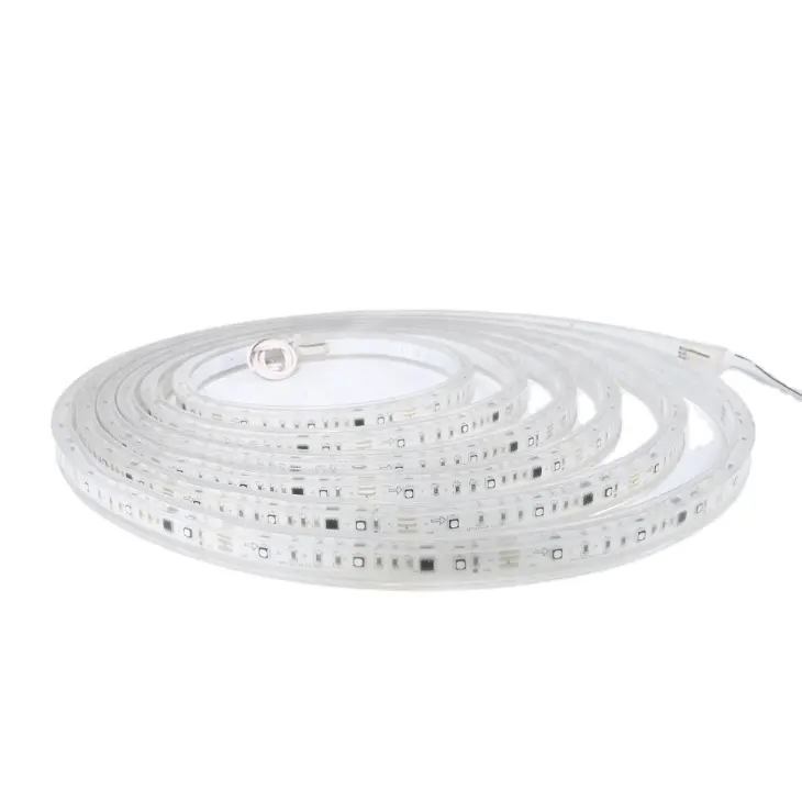 Smart Colorful Outdoor Strip Lights Flexible 5M DC12V Wholesale Price LED Strip Light Outdoor