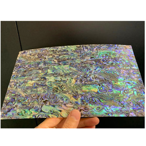 หอยเป๋าฮื้อสีเขียวธรรมชาติ/แผ่นเปลือกหอยมุก/กระดาษเปลือกหอย Paua - Product Image 2