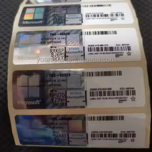 Win 10 Pro/home OEM Key Silver Sticker COA Label Versión de Internet Sistema operativo con 12 meses de garantía DHL o FEDEX - Product Image 1