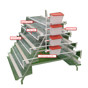 फिलीपींस बड़े पैमाने पर पोल्ट्री चिकन हाउस का उपयोग 1000 /5000 मुर्गी पालन का उपयोग किया जाता है - Product Image 4