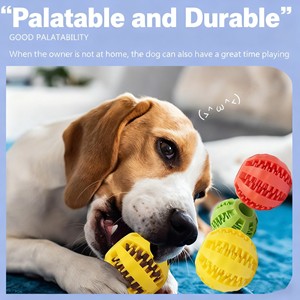 Vente en gros de balles à mâcher écologiques TPR résistantes aux animaux de compagnie, accessoires pratiques pour chiens, nettoyage de dents d'animaux de compagnie amusant - Product Image 3