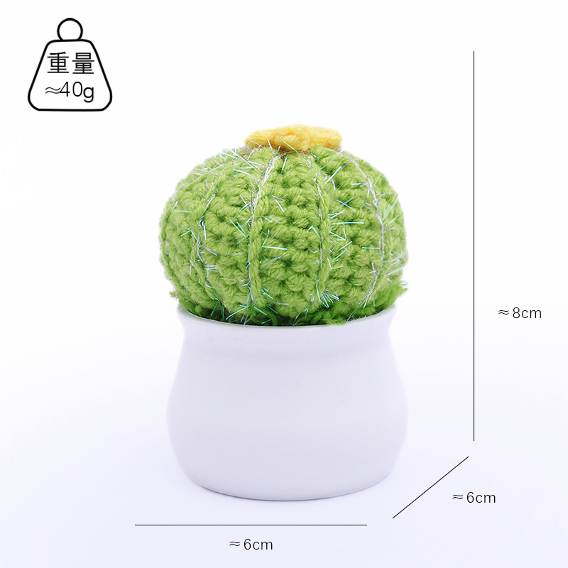 O-shaped cactus and succulent potted plants