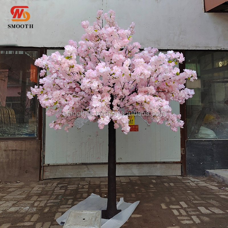 ต้นเชอร์รี่